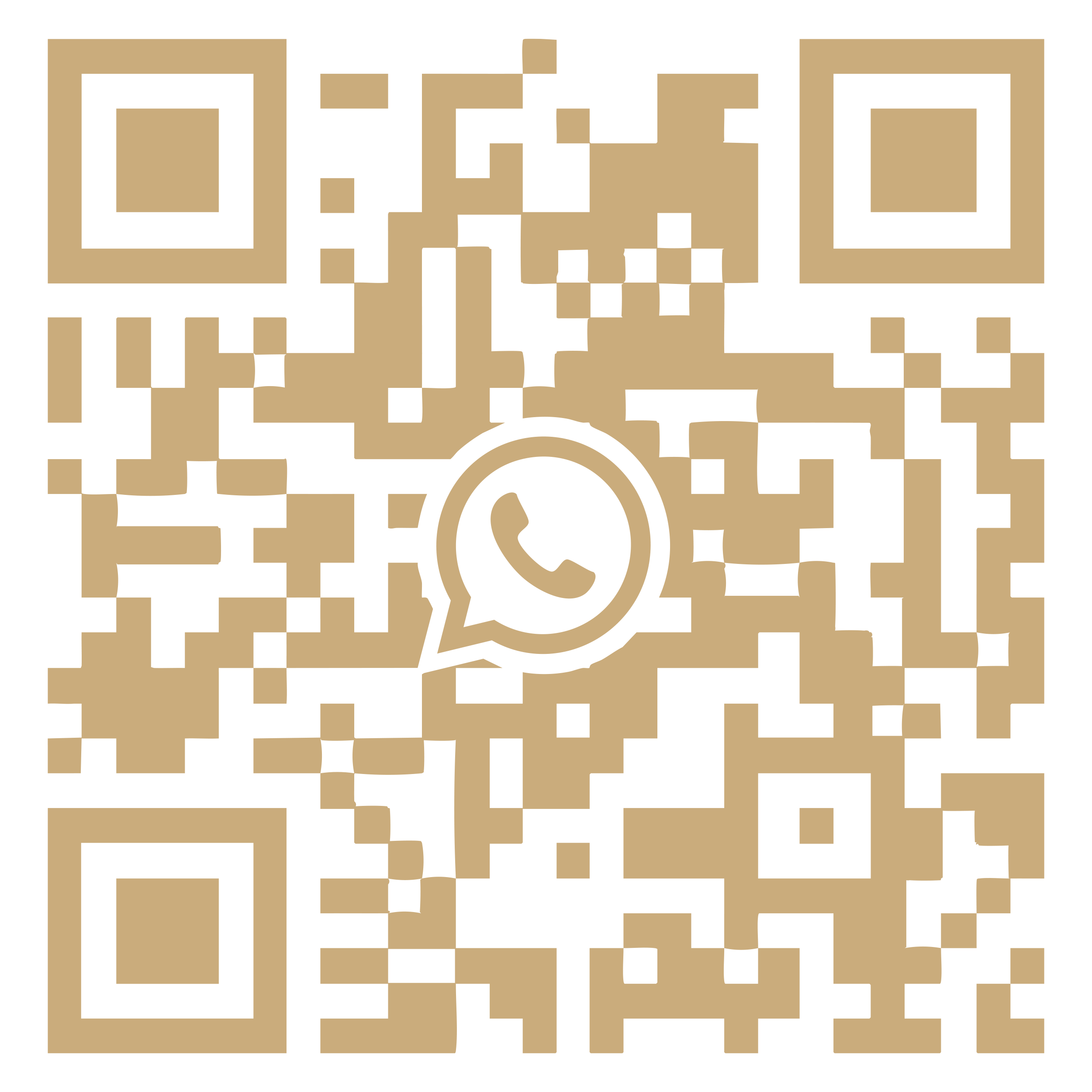 1V1 教育規劃顧問 WhatsApp 二維碼